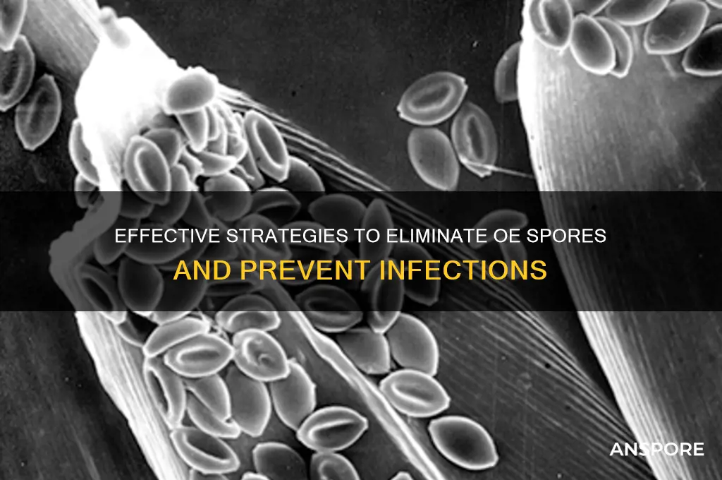 how to eliminate oe spores