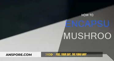 The Ultimate Guide to Encapsulating Mushrooms