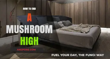 Safely Navigating a Mushroom High: Effective Strategies to Come Down