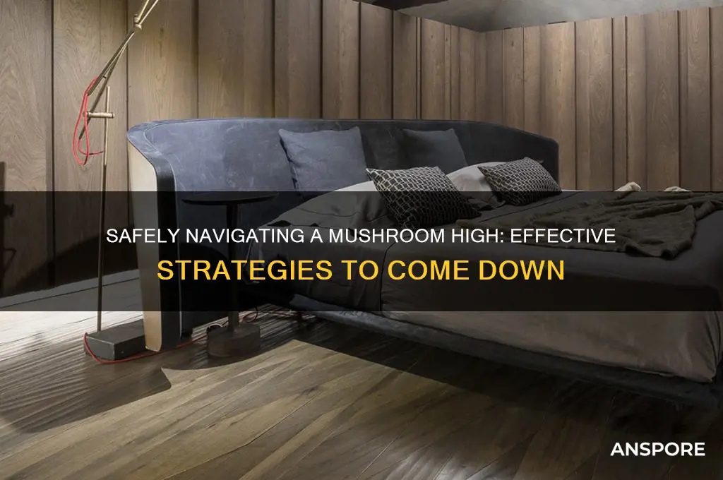 how to end a mushroom high