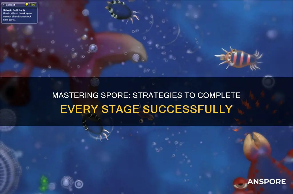 how to end each stage on spore