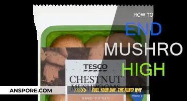 Calm Down: Strategies to End a Mushroom High