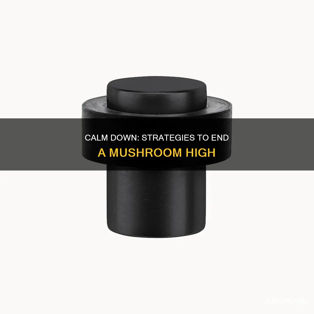 how to end mushroom high