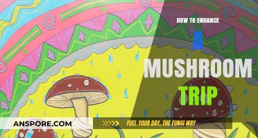 Enhance Your Mushroom Journey: Tips for a Transformative Psychedelic Experience