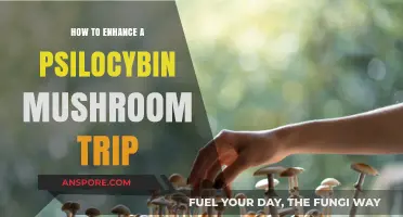 Elevate Your Journey: Tips to Enhance Psilocybin Mushroom Experiences