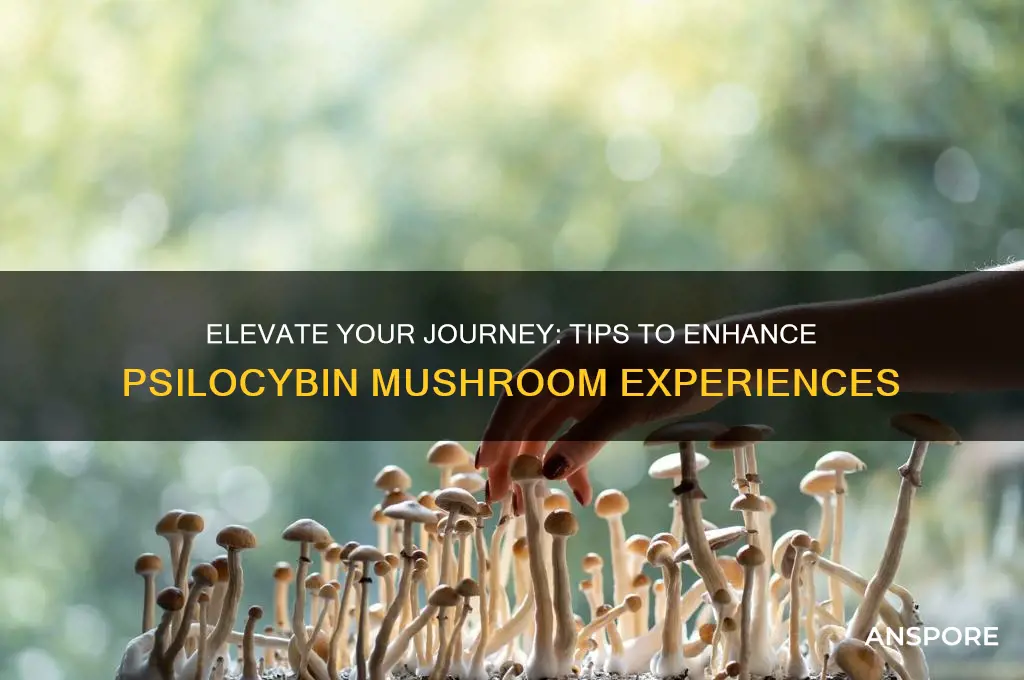 how to enhance a psilocybin mushroom trip