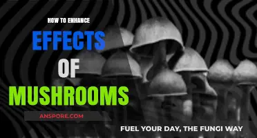 Maximize Mushroom Benefits: Proven Tips to Amplify Their Effects