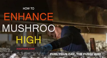 Enhancing Your Mushroom Trip: Tips for a Better High