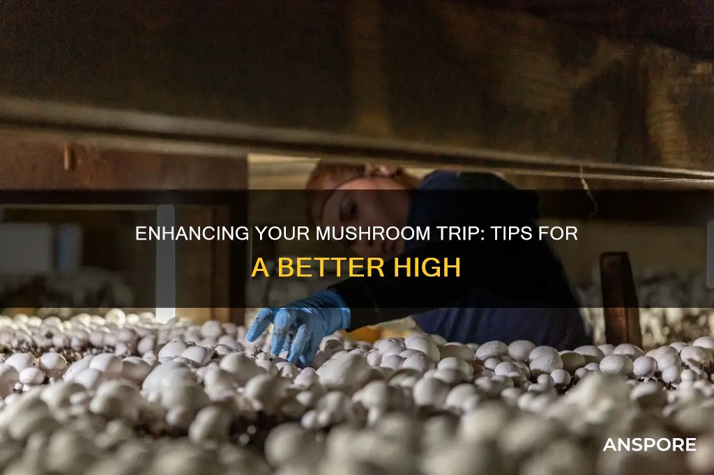 how to enhance mushroom high
