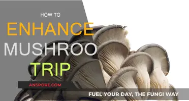 Enhancing Your Mushroom Trip: A Guide to Maximizing Your Experience