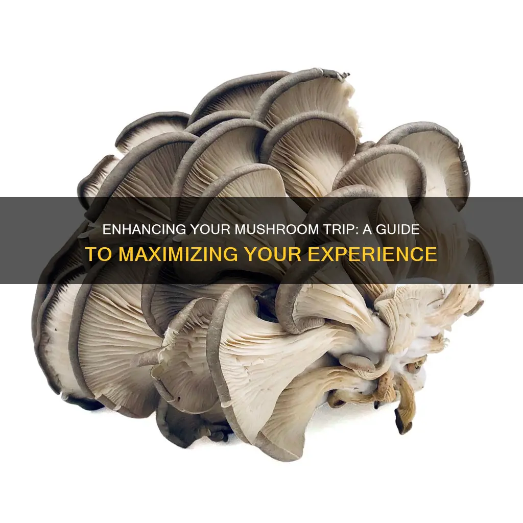 how to enhance mushroom trip