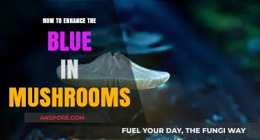 Enhancing Mushroom Photography: Tips to Intensify Blue Tones in Your Shots