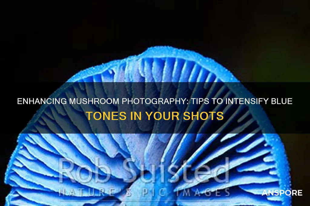how to enhance the blue in mushrooms