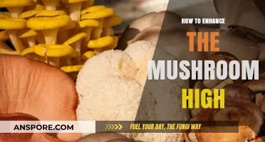 Amplify Your Mushroom Experience: Tips to Intensify the High