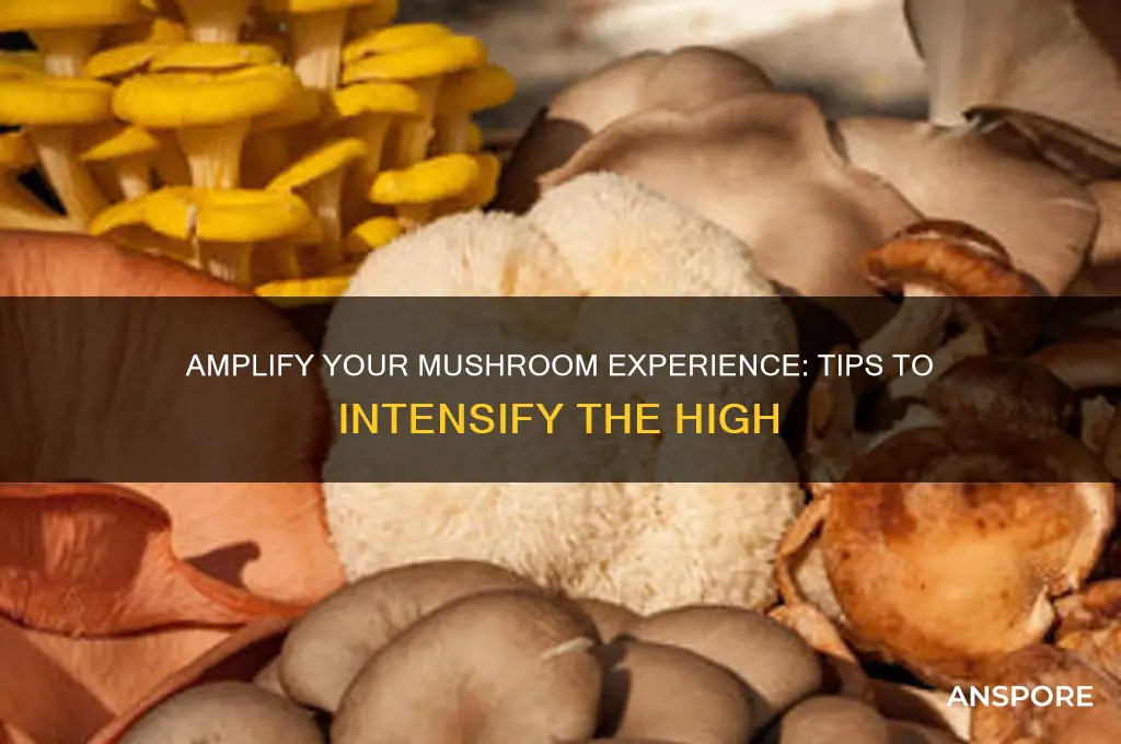 how to enhance the mushrooms high
