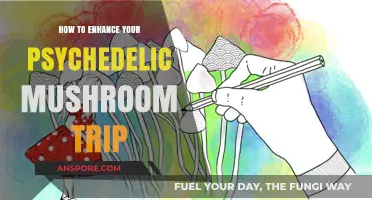Maximize Your Psychedelic Journey: Tips to Enhance Mushroom Experiences