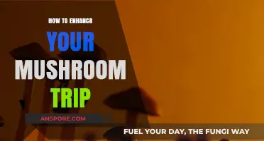 Enhance Your Mushroom Trip: Tips for a Transformative Psychedelic Experience