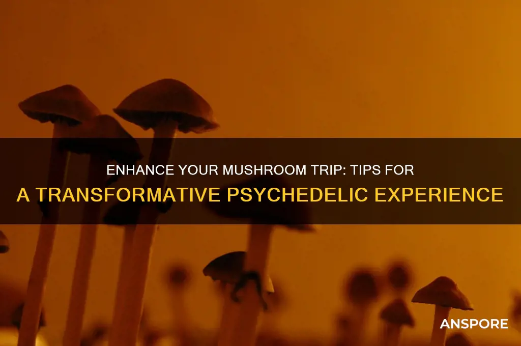 how to enhancr your mushroom trip