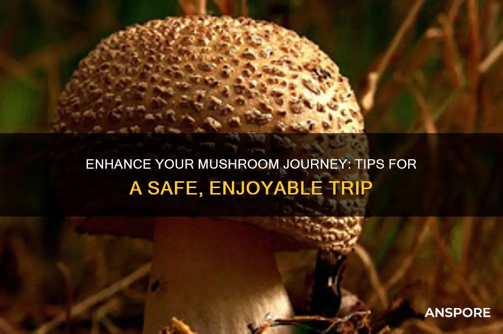how to enjoy a mushroom trip