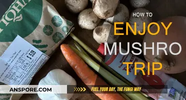 Mushroom Trip: Enhancing Your Experience and Enjoyment
