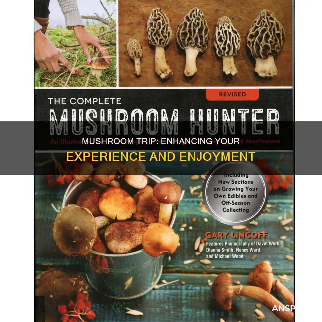 how to enjoy mushroom trip