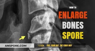 Effective Techniques to Enlarge Bones in Spore: A Comprehensive Guide