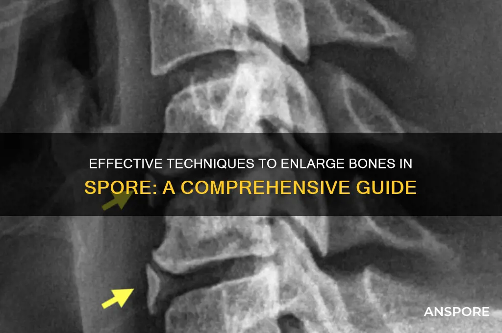 how to enlarge bones spore