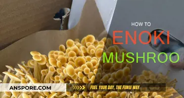 Grow Enoki Mushrooms: A Step-by-Step Guide