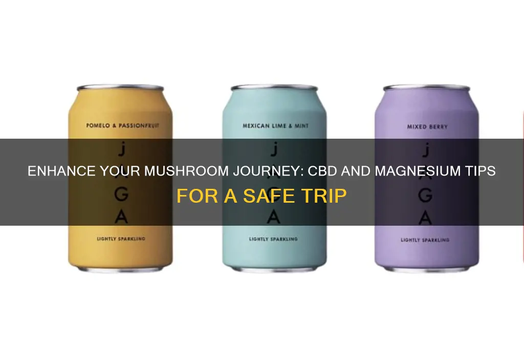 how to ensure a good trip on mushrooms cbd magnesium