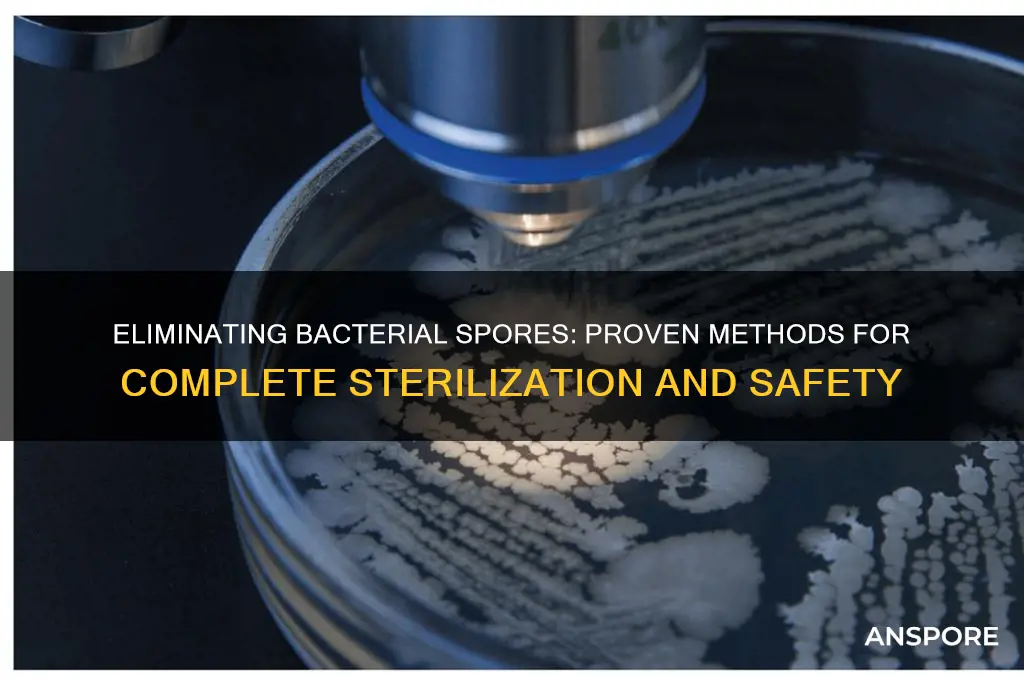 how to ensure no bacteria is in with spores