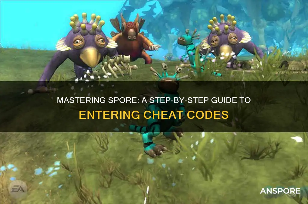 how to enter cheat in spore
