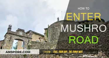 Unlocking the Secrets of Mushroom Road