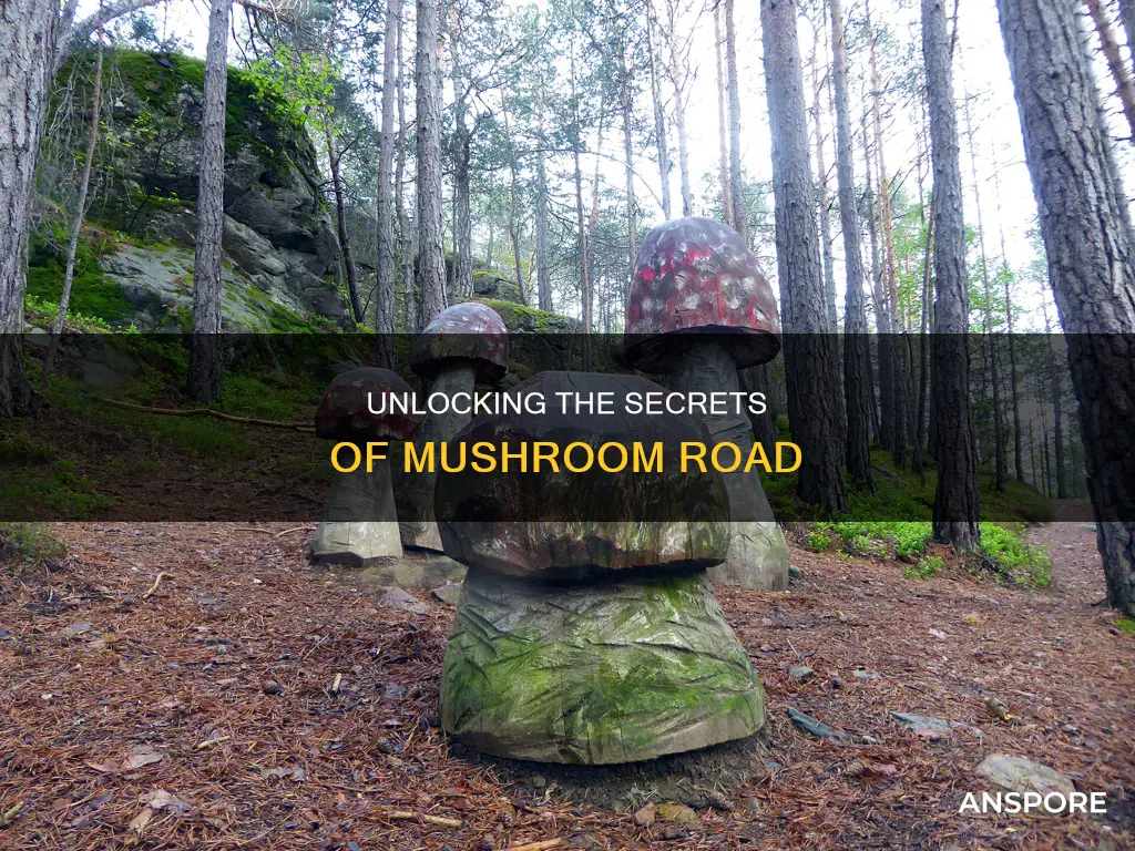 how to enter mushroom road