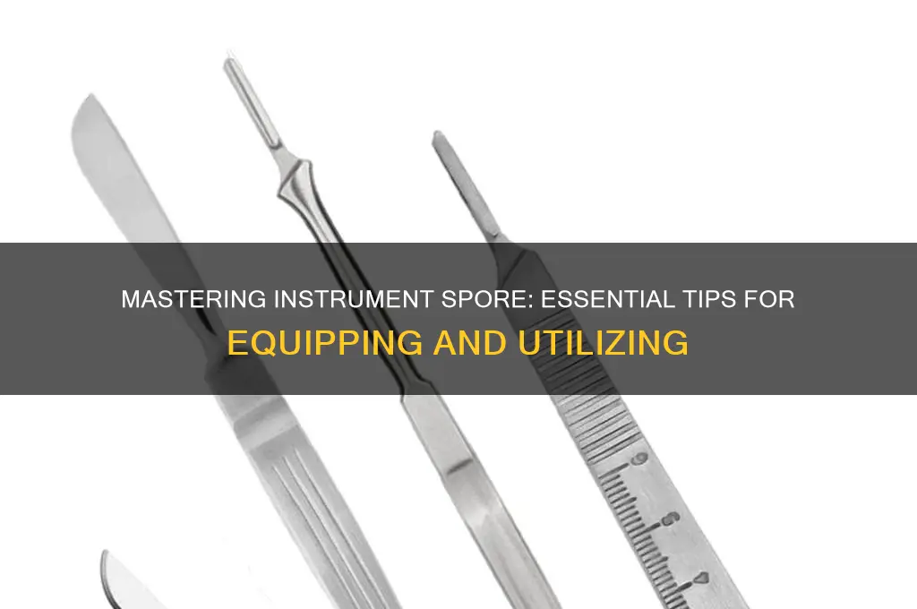 how to equip instrument spore