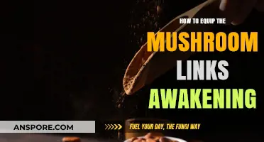 Mastering Mushroom Gear: Essential Tips for Link's Awakening Adventure