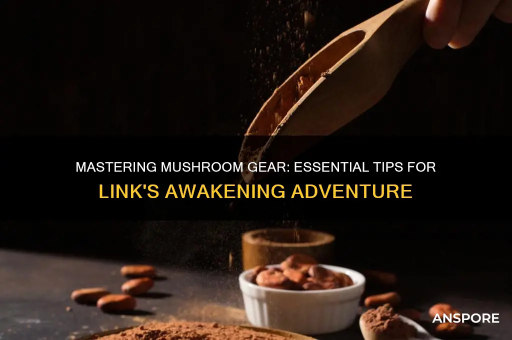 how to equip the mushroom links awakening