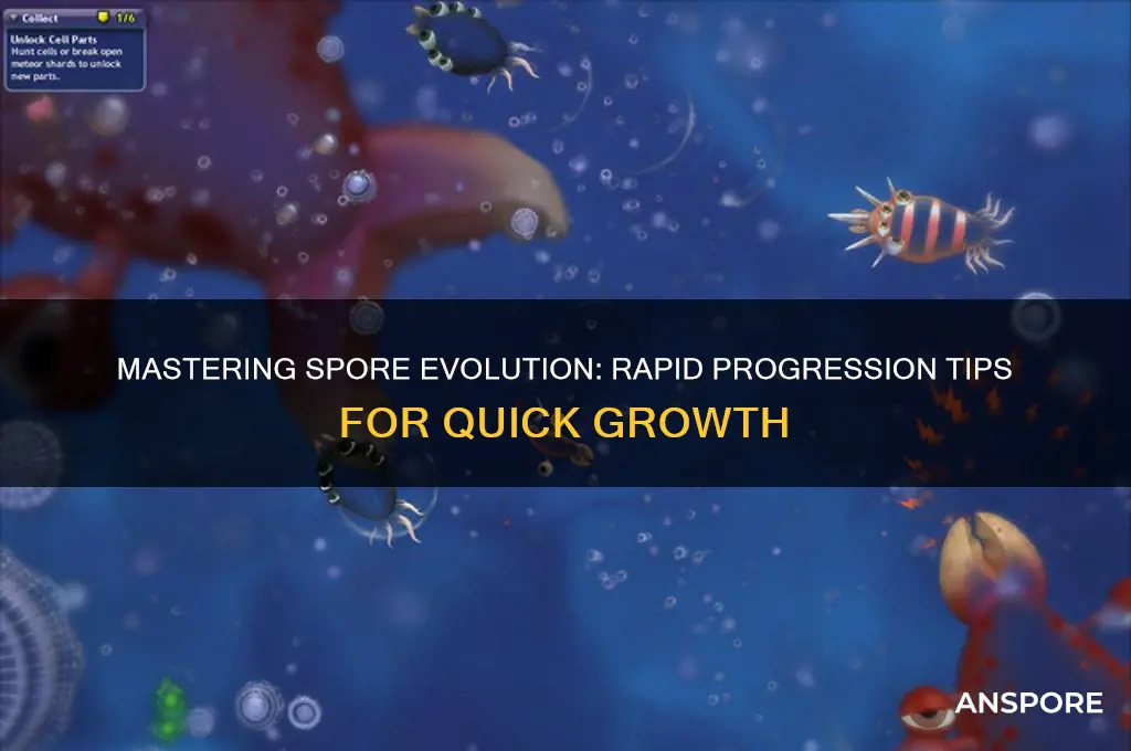 how to evolve quicly in spore