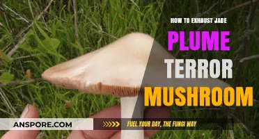 Mastering Jade Plume Terror Mushroom Exhaustion: Effective Strategies and Techniques
