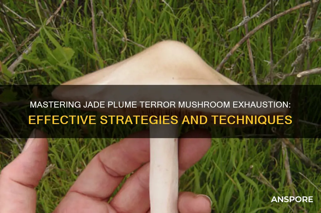 how to exhaust jade plume terror mushroom