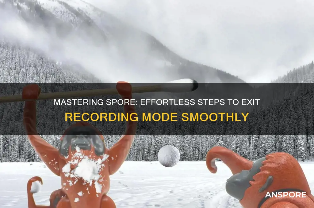 how to exit recording in spore