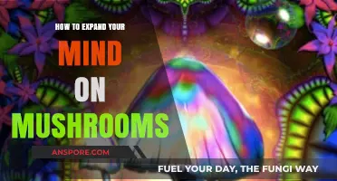 Unlocking Consciousness: A Guide to Expanding Your Mind on Mushrooms