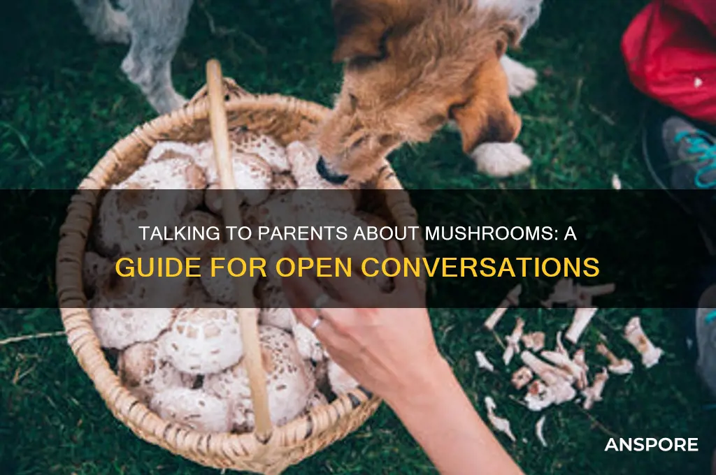 how to explain parents about mushrooms