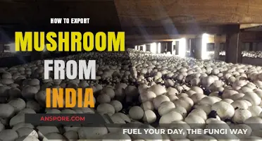 Exporting Mushrooms from India: A Comprehensive Guide for Success