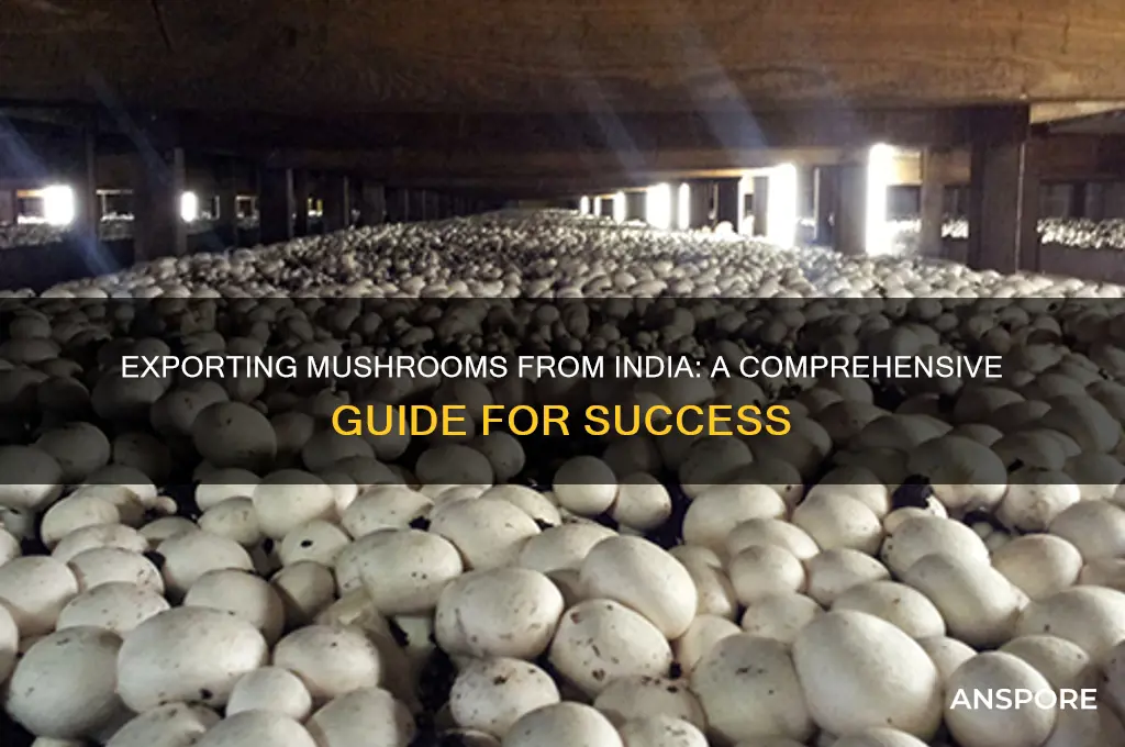 how to export mushroom from india