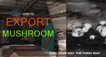 Mushroom Exports: Navigating the Complexities of Global Trade