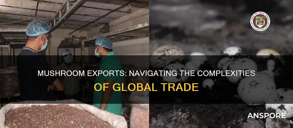 how to export mushroom