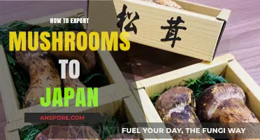 Exporting Mushrooms to Japan: A Comprehensive Guide for Success