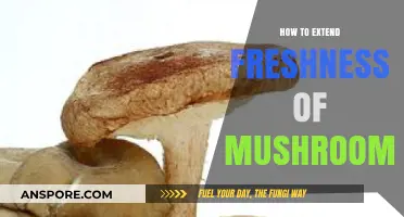 Maximize Mushroom Freshness: Simple Storage Tips for Longer Shelf Life