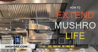 Keep Mushrooms Fresh: Easy Hacks to Extend Shelf Life