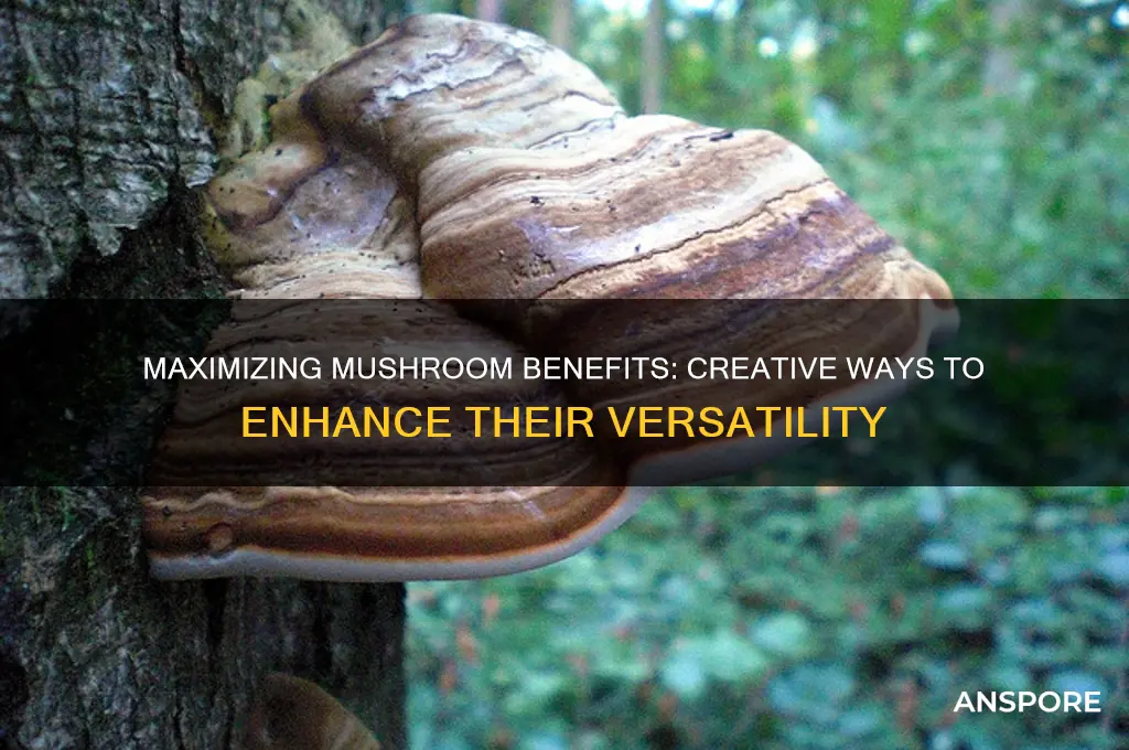 how to extend mushrooms useful ness